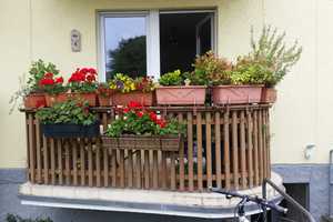 Schöne, ruhig gelegene 2 Zi-Wohnung Köln Holweide mit Balkon – Burgwiesenstr. 26, 51067 Köln – Vorschaubild 7