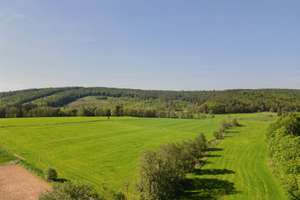 Natur, Ruhe und Pferdeglück – Exklusiver Pferdehof mit 2,1 ha in Brilon-Alme – Die vollständige Adresse der Immobilie erhältst du vom Anbieter., 59929 Brilon – Vorschaubild 29