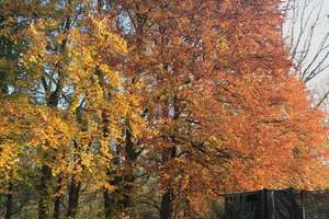 Property thumbnail 45