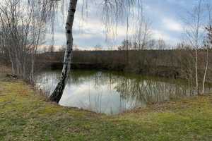 Naturnahes Familiendomizil mit parkähnlichem Garten und eigenen Teichen – Helmstedt (Kreis) – Vorschaubild 19