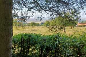 Günstige 2-Raum-Finnhütte in Bilzingsleben OT Düppel Kindelbrück – Ferienhaussiedlung 7, 99638 Sömmerda (Kreis) – Vorschaubild 18