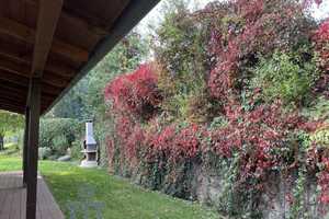 Traumhaus in herrlicher Alleinlage mit Fernblick am Rande des Pfälzer Waldes – Zweibrücken – Vorschaubild 40