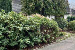 Charmantes Einfamilienhaus mit großem Grundstück in Dortmund Sölde/Aplerbeck – Die vollständige Adresse der Immobilie erhältst du vom Anbieter., 44289 Aplerbeck (Ortsteil), Dortmund – Vorschaubild 3