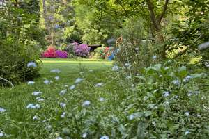 Property thumbnail 21