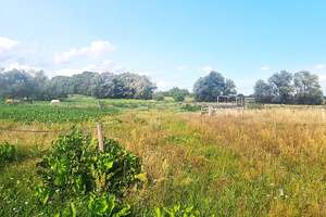 HIER IST PLATZ|PROVISIONSFREI | Großzügiger Vierseitenhof auf 8984 m² Grundstück mit viel Potential – Die vollständige Adresse der Immobilie erhältst du vom Anbieter., 16775 Löwenberger Land – Vorschaubild 15