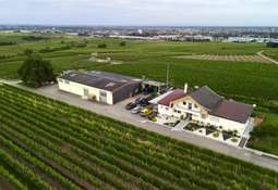 Luftansicht aus Norden