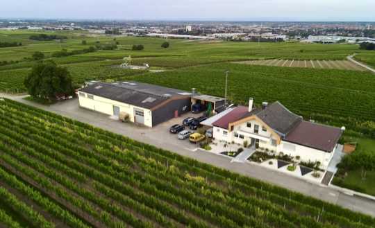 Wohnen in den Weinbergen (Wohnhaus, Einliegerw. & Halle) auf 3.555qm in Landau / Nußdorf (§35 BauGB)