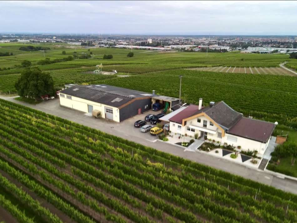 Luftansicht aus Norden