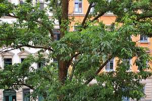 Schöne 3-R-Wohnung  mit Balkon im Stadtteil Dresden-Plauen – Zwickauer Str. 128, 1187 Plauen (Stadtteil), Dresden – Vorschaubild 19