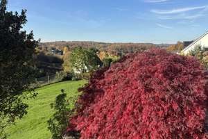 Property thumbnail 8