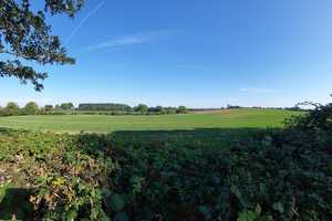 ländliches Anwesen mit parkähnlichem Grundstück, Reitanlage und separatem Gästehaus – Ostholstein (Kreis) – Vorschaubild 27