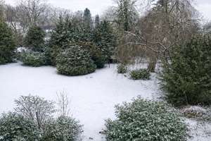 Property thumbnail 12