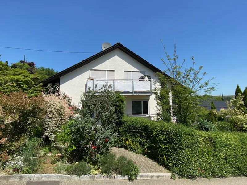 3-Family House – Mühlacker – panoramic view