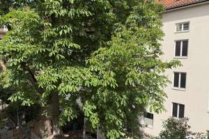 List/Oststadt ruhige, lichtdurchflutete  2-Zimmer-Wohnung mit Balkon, 2. OG, Nähe Lister Meile – Lisbethstr. 11, 30161 Oststadt, Hannover – Vorschaubild 18