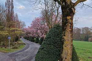 Traumhaftes möbliertes Apartment im Park