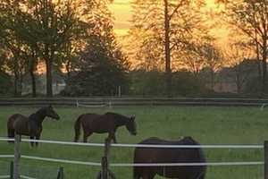 Freistehendes u. lichtdurchflutetes Einfamilienhaus mit uneinsehbarem u. traumhaftem Garten – Mönchengladbach – Vorschaubild 7