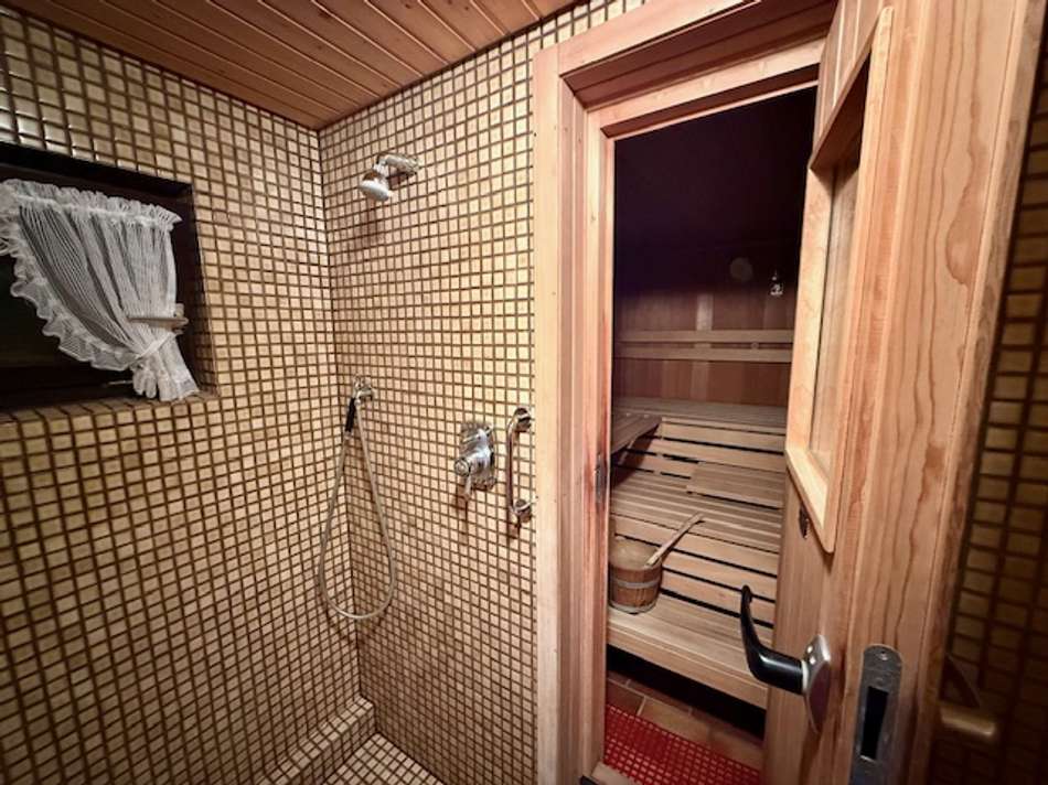 Sauna und Dusche UG