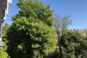 "Modern Wohnen Im Herzen von Offenbach" – 63069 Friedrichsweiher, Offenbach am Main – Vorschaubild 26