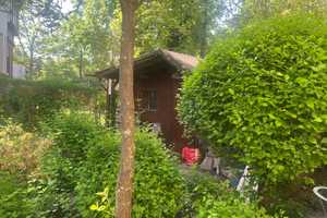 Großzügige Altbauvilla / großes Grundstück/ große Garage – Wiesbaden – Vorschaubild 36