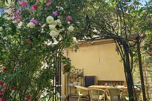Zweifamilienhaus in Bestlage von Hohen Neuendorf – Großzügiges Grundstück, vielseitig nutzbar – Rosa-Luxemburg-Str. 35, 16540 Oberhavel (Kreis) – Vorschaubild 2