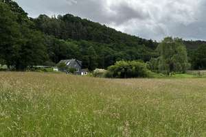 Naturidylle in Alleinlage, 4,7 ha – 55481 Kirchberg im Wald – Vorschaubild 23