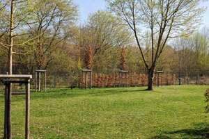 Property thumbnail 13