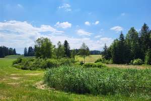 Ehem. Bauernhof - attraktive Preissenkung – Die vollständige Adresse der Immobilie erhältst du vom Anbieter., 86975 Bernbeuren – Vorschaubild 8