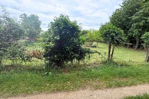 Sanierungsobjekt mit Entwicklungspotenzial - unter Bodenrichtwert – Otto-Hahn-Straße 15A, 55129 Ebersheim, Mainz – Vorschaubild 4