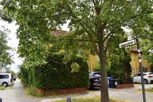 Busonistr. - Familienfreundliches Reihenendhaus 
in ruhiger KAROW-Lage mit Parkplatz! 
S-Bhf.! – Berlin – Vorschaubild 18