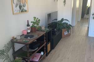 Frisch renovierte Zweiraumwohnung in Uni Nähe – Die vollständige Adresse der Immobilie erhältst du vom Anbieter., 40225 Bilk, Düsseldorf – Vorschaubild 4