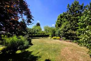 "Idyllischer Wohntraum im Grünen mit Terrassen, Garten und Seerosenteich" in Schulnähe! – Rhein-Hunsrück-Kreis – Vorschaubild 35