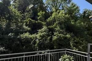 Würzburg- 4-Zi, sehr hell, gr. Balkon, Garage, Stellplatz ab 1.8. – Die vollständige Adresse der Immobilie erhältst du vom Anbieter., 97080 Steinbachtal, Würzburg – Vorschaubild 5
