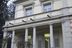 Schöne 2 ZKB-Wohnung in Jugendstil-Villa in bester Wohnlage – Maria-Viktoria-Straße 18, 76530 Innenstadt, Baden-Baden – Vorschaubild 3