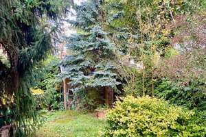 Property thumbnail 15