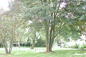 Kapitalanlage - gut vermietete 2-Zimmer-Wohnung  im Wohnpark Wellingdorf – Die vollständige Adresse der Immobilie erhältst du vom Anbieter., 24148 Ellerbek, Kiel – Vorschaubild 2