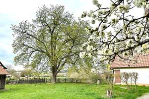 RESERVIERT!
Historisches Fachwerkhaus – 
Ein Stück fränkische Geschichte in Gärtenroth – Die vollständige Adresse der Immobilie erhältst du vom Anbieter., 96224 Burgkunstadt – Vorschaubild 6