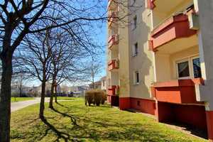 *Schickes Wannenbad & sonniger Balkon* Top 1 Zimmer Wohnung – Gerstengrund 27, 39130 Magdeburg – Vorschaubild 6