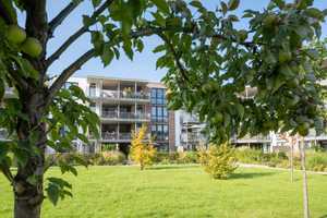 Wohnen im Park - sonnige 3-Zimmer Wohnung im 1. OG mit Blick ins Grüne – Theo-Neubauer-Straße 20, 99085 Erfurt – Vorschaubild 21