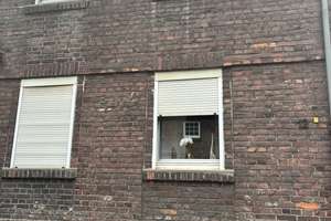 Reieneckhaus mit 4 Zimmern in Duisburg-B‘werth  – Sinziger Straße 12, 47139 Beeckerwerth, Duisburg – Vorschaubild 3