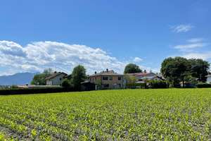 Kolbermoor-Karolinenhöhe! Idyllisches Einfamilienhaus am Ortsrand zur verkaufen! – Karolinenhöhe 00, 83059 Kolbermoor – Vorschaubild 8