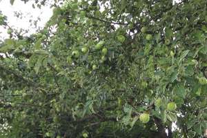 Property thumbnail 27