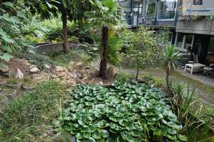 Property thumbnail 39