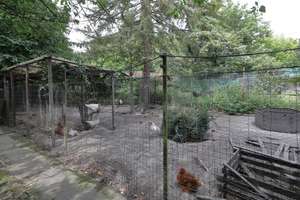 Gartenliebhaber aufgepasst! Familienfreundliches Zweifamilienhaus mit Modernisierungsbedarf  – Die vollständige Adresse der Immobilie erhältst du vom Anbieter., 45355 Borbeck-Mitte, Essen – Vorschaubild 9