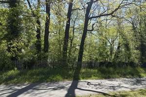 Gepflegte DHH mit 5 Zimmern in Falkensee-Finkenkrug – Die vollständige Adresse der Immobilie erhältst du vom Anbieter., 14612 Falkensee – Vorschaubild 4