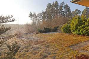 Einfamilienhaus in ruhiger Lage für Naturliebhaber – Lüchow-Dannenberg (Kreis) – Vorschaubild 6