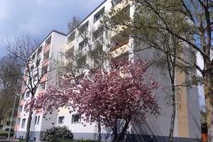 3 Zimmerwohnung mit Balkon in Düsseldorf-Knittkuhl – 40629 Knittkuhl, Düsseldorf – Vorschaubild 3