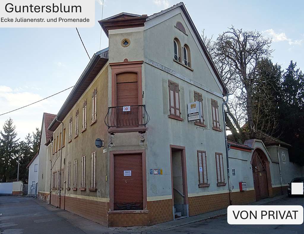 Immobilie in Guntersblum - Schöne alte Hofreite mit ehemaligem Wohn-/Geschäftshaus (Bäckerei) – mit großem Potenzial - Bild 0