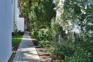 ++ GRÜNES KLEINOD + IM HERZEN VON SCHLACHTENSEE + GARTEN + DACHTERRASSE + TIEFGARAGE +  SANIERT ++ – Breisgauer Straße 45A, 14129 Zehlendorf, Berlin – Vorschaubild 3