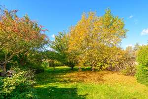 Property thumbnail 24