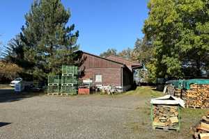 10 ha Anwesen mit großem Haus und Gewerbehalle – Nordsachsen (Kreis) – Vorschaubild 7